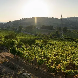https://bb-da-mamoiada.in-sardinia.net